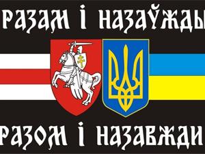 Свiдомий по-украински и свядомы по-белорусски означает сознательный. Этими терминами агрессивные этнократические меньшинства в Белоруссии и на Украине обозначают самих себя. В Интернет-блогосфере их окрестили, поэтому свядомитами и свидомитами.