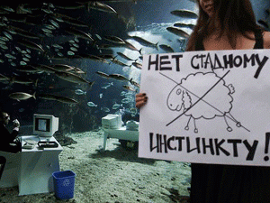 «Свободомыслие» «офисного планктона» - что может быть безопаснее для государства