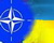 НАТО -Украина